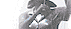 berrihill investigative services